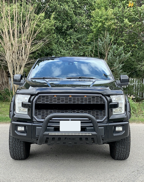 Bull Bar w/ Skid Plate &amp; LED Light, Black- Ford F150 (2004-21)